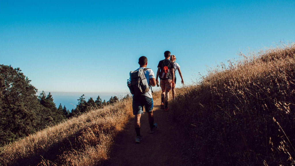 Descubra as vantagens de uma caminhada rápida para a sua saúde
