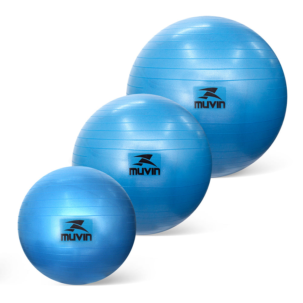 https://muvin.com.br/cdn/shop/products/kit-bola-de-pilates-55-65-75cm-azul.jpg?v=1658510656